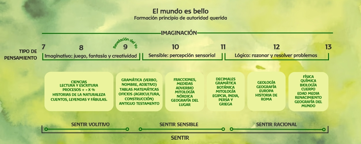 Curriculo-primaria-waldorf