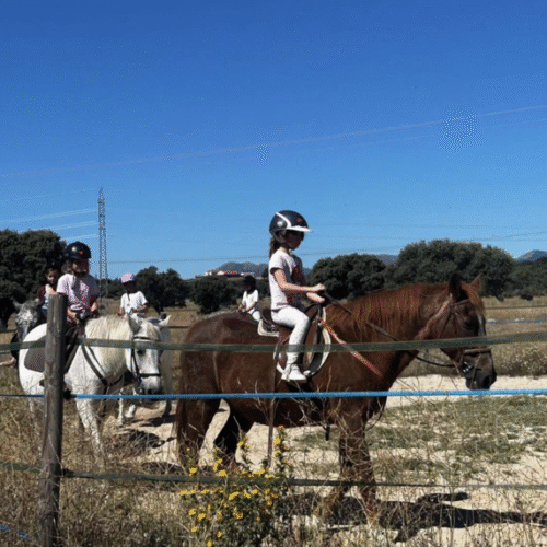 Captura 2026-03-25 a las 10.16.40