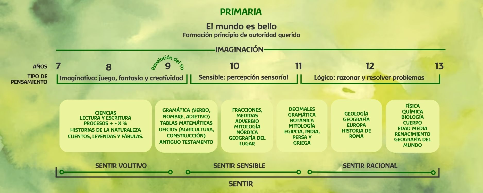 Curriculo-Waldorf-Primaria